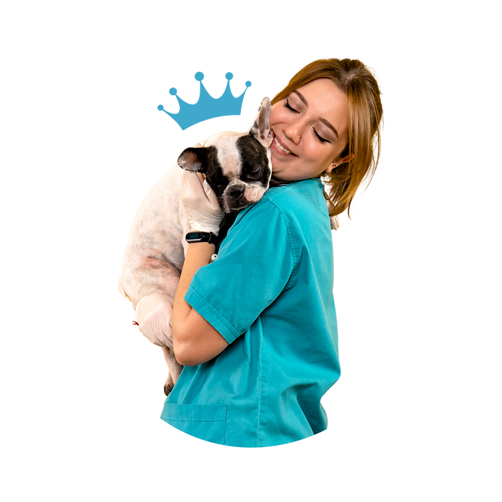 Crown Pet Hospital